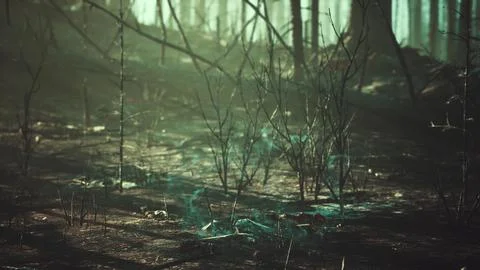 Forest fire and fallen tree is burned to the ground with a lot of smoke Illustrazione stock