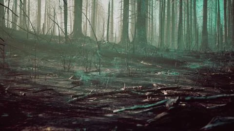 Forest fire and fallen tree is burned to the ground with a lot of smoke Stock Illustration