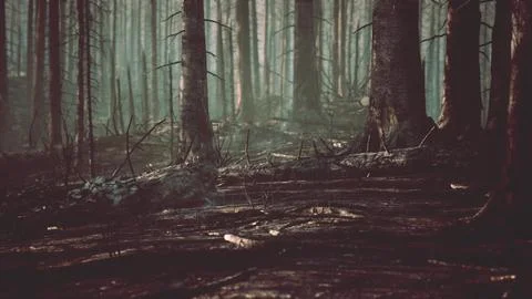 Forest fire and fallen tree is burned to the ground with a lot of smoke Stock Illustration