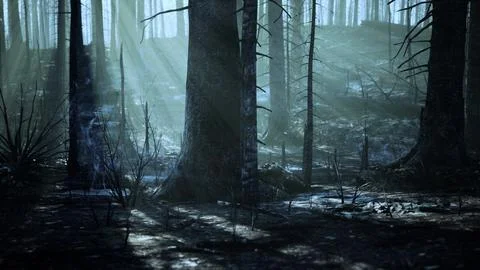 Forest fire and fallen tree is burned to the ground with a lot of smoke Stock Illustration