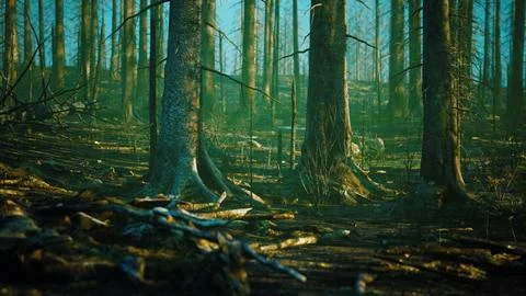 Forest fire and fallen tree is burned to the ground with a lot of smoke Stock-Illustration
