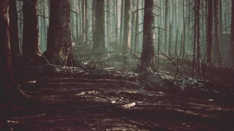 Forest fire and fallen tree is burned to the ground with a lot of smoke Stock Illustration