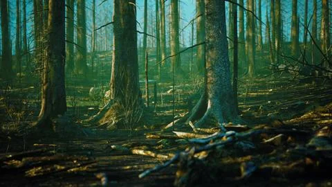 Forest fire and fallen tree is burned to the ground with a lot of smoke Stock Illustration