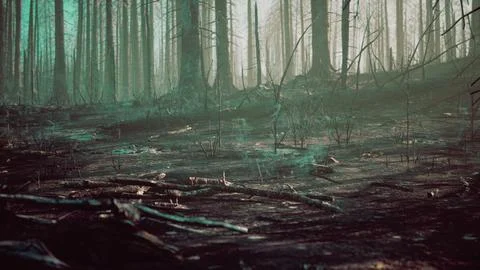 Forest fire and fallen tree is burned to the ground with a lot of smoke イラスト素材