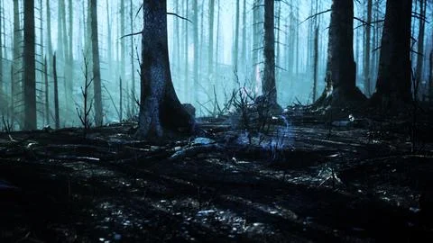 Forest fire and fallen tree is burned to the ground with a lot of smoke イラスト素材