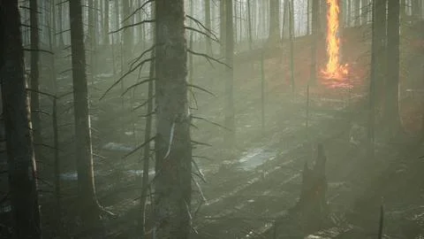 Forest fire and fallen tree is burned to the ground with a lot of smoke イラスト素材