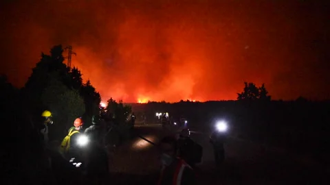 Forest fire and fire fighers discussing, fg01 Stock-Footage 256236142