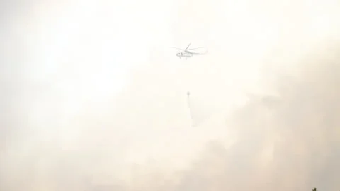 Forest fire and fire fighers discussing, fg01 Stock Footage 256236487