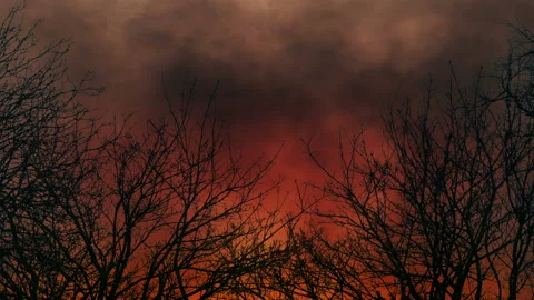 Forest Fire And Trees With Lots Of Smoke Stock Footage 235200780