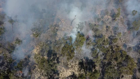 Forest fire in Australia. 4k aerial drone footage Stock Footage