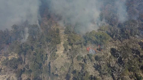Forest fire in Australia. 4k aerial drone footage 스톡 동영상 116028101