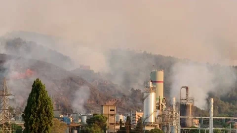 Forest fire in Barcelona affects 150 hectares, forces AP-7 motorway to be cut of Vidéo 204047693