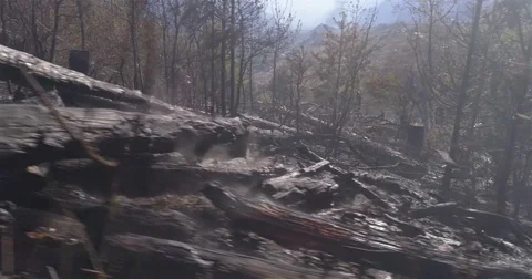 Forest fire between Sion and Lens, Valais, Switzerland - 4K Stock Footage 75176594