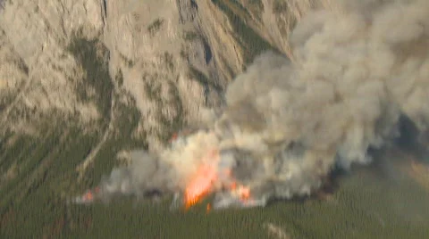 Forest fire, big flames, aerial and quite dramatic Stock Footage