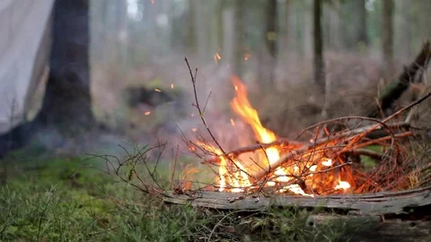 In the forest, a fire is burning in a clearing, a man puts branches on the fire. Stock Footage 79846609