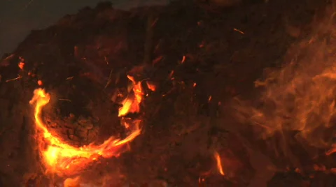 Forest Fire Burning Video stock 711492