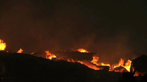 Forest fire burning in Forest Stock Footage 711465