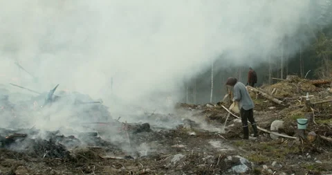 Forest fire, Burning Forest, Smoke, Man pouring water from bucket Stock Footage 269393746