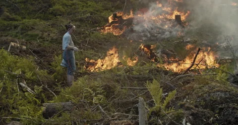 Forest fire, burning forest, smoke, flames, woman using a gas lighter Stock Footage 269514615