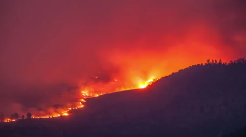Forest Fire Burning Mountainside Vidéo 65431624