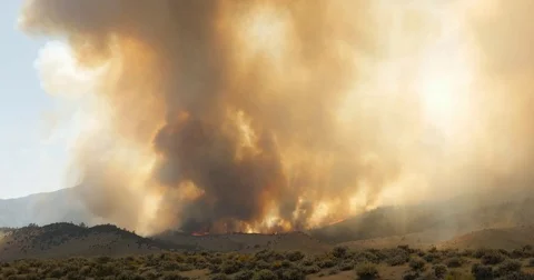 Forest Fire Burning Mountainside Stockbeeldmateriaal 75043269