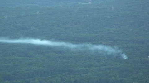 Forest Fire Burning with Smoke Stock Footage 264555