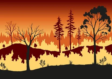 Forest fire. Burning spruces and oak trees, wood plants in flame. Forest fires Stock Illustration