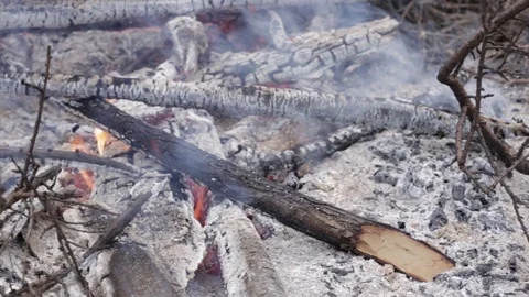 Forest fire burning, Wildfire close up at day time. bonfire Stock Footage 107523933