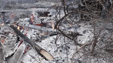 Forest fire burning, Wildfire close up at day time. bonfire Stock Footage 107524367