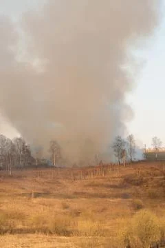 Forest fire burning, Wildfire close up at day time Stock Photos
