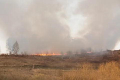 Forest fire burning, Wildfire close up at day time Stock Photos