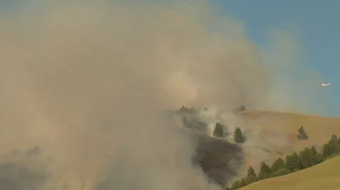 Forest fire burns with helicopter Stock Footage 21539351