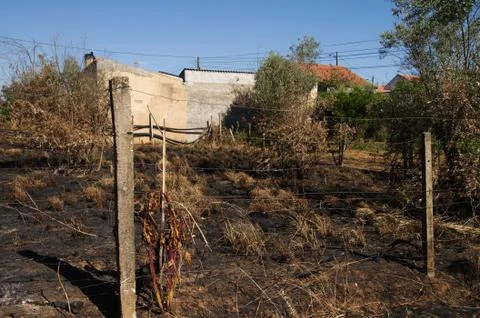 Forest fire burnt ground up to small village homes - Pedrogao Grande Stock Photos