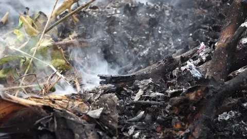 The forest fire is calming down Stock Footage 158886850