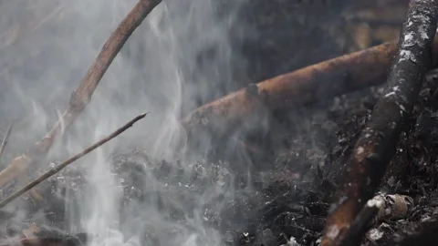 The forest fire is calming down Stock Footage 158887124
