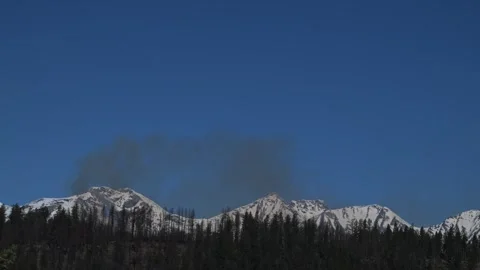 Forest Fire in Canada Stock Footage 337843959