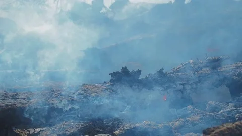 Forest fire close up, deforestation concept. climate change and global warming - Stock Footage 130212618