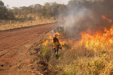 Forest Fire Combat Stock Photos
