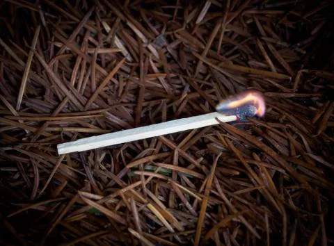 Forest fire concept Stock Photos