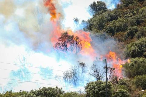 Forest fire on the Costa Brava. Stock Photos