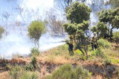Forest fire on the Costa Brava. Stock Photos