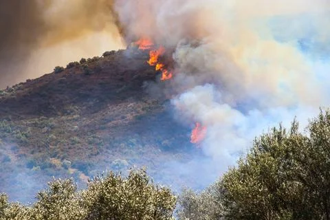 Forest fire on the Costa Brava. Stock Photos