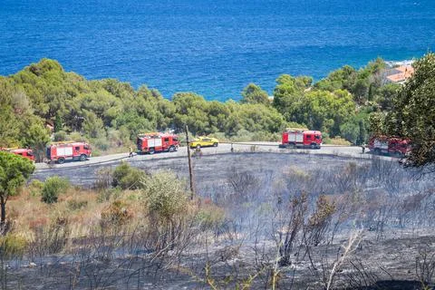 Forest fire on the Costa Brava. Stock Photos