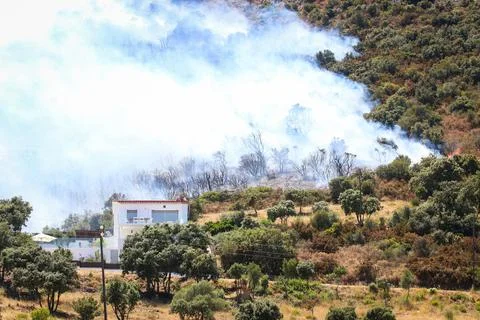 Forest fire on the Costa Brava. Stock Photos