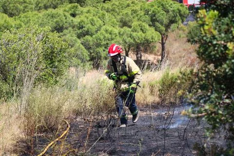 Forest fire on the Costa Brava. Stock Photos