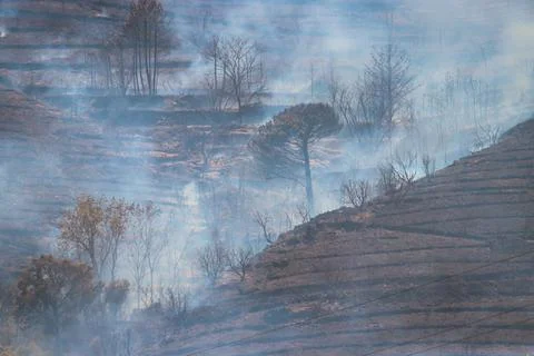 Forest fire on the Costa Brava. Stock Photos