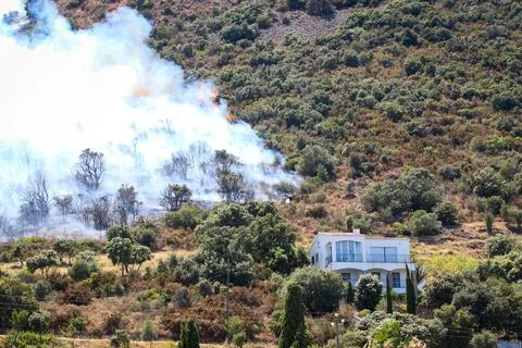 Forest fire on the Costa Brava. Stock Photos
