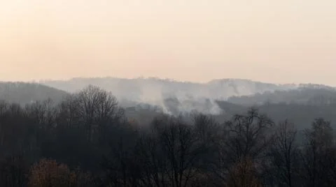 Forest fire in countryside Stock Photos