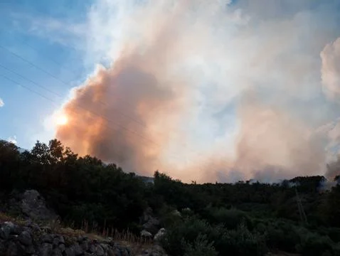 Forest fire in Croatia Stock Photos