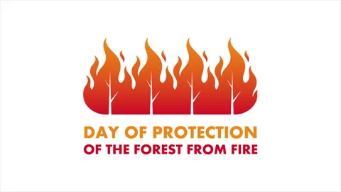Forest from Fire Day Protection Stock-Footage 340584533